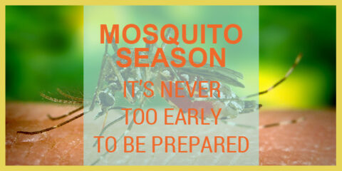 Mosquito Season
