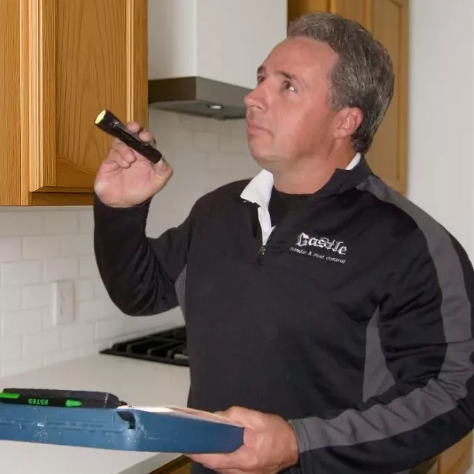 Castle tech using his flashlight in a kitchen looking for pests or termites
