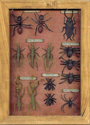 shadow box of plastic bugs Image from Halloween Crafts on Tumblr.