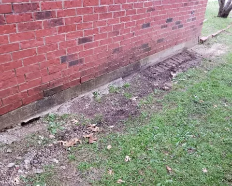 trash, debris, bricks and junk removed from side of house