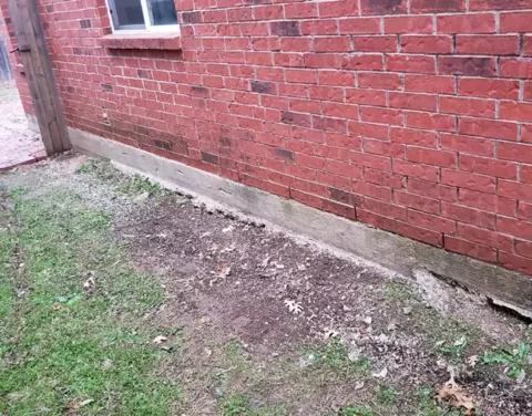 trash, debris and junk removed from side of house