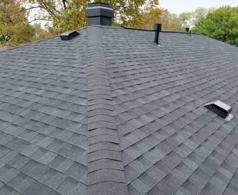 new roof with roof ridge capping and repainted vents